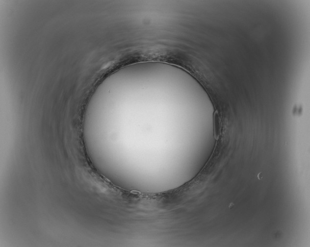 X0000113111153200909111108
