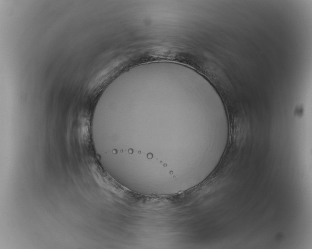 X0000113111154200909111108
