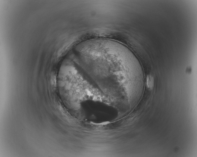X0000113111155200909111108