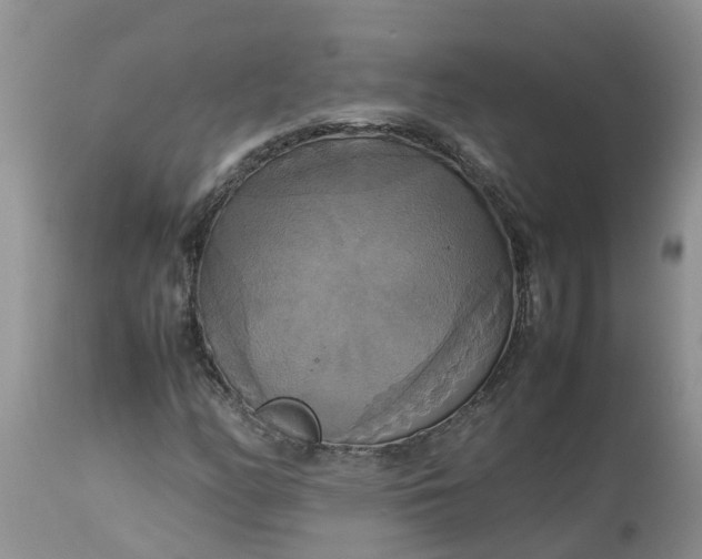 X0000113111158200909111108