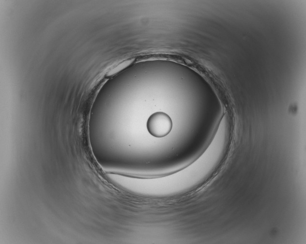 X0000113111161200909111108