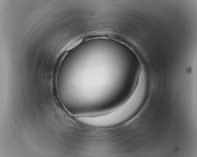 X0000113111162200909111108