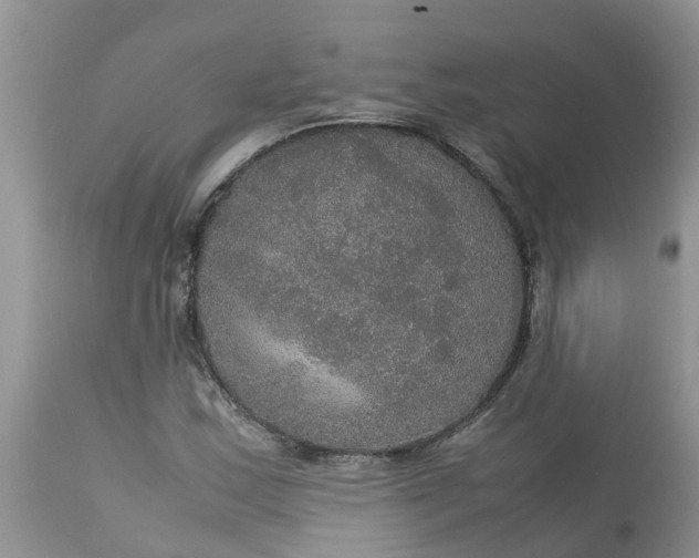 X0000113111163200909111108
