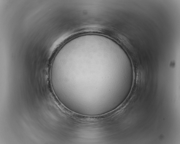 X0000113111164200909111108
