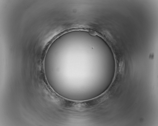 X0000113111165200909111108