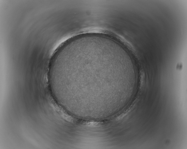 X0000113111166200909111108