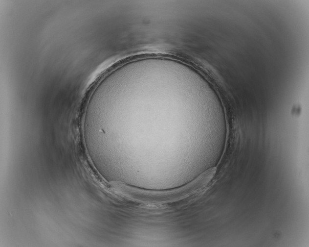 X0000113111168200909111108