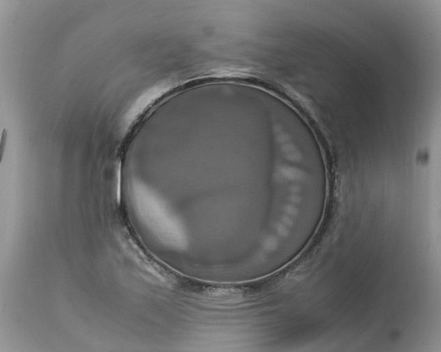 X0000113111171200909111108
