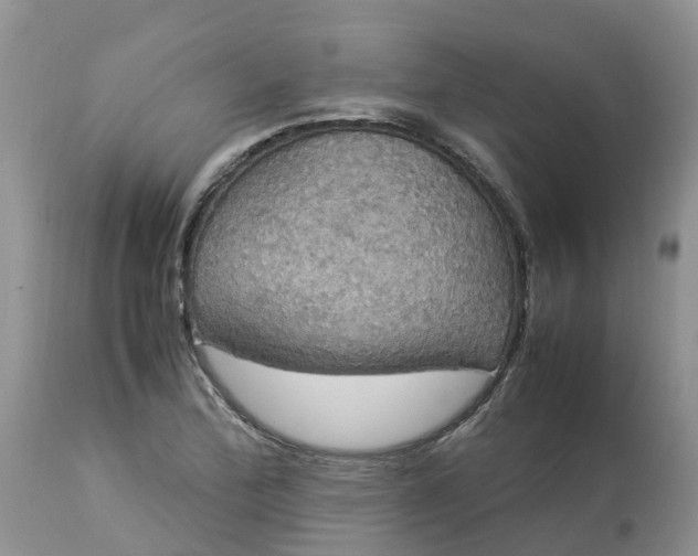 X0000113111172200909111108