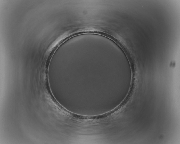 X0000113111173200909111108