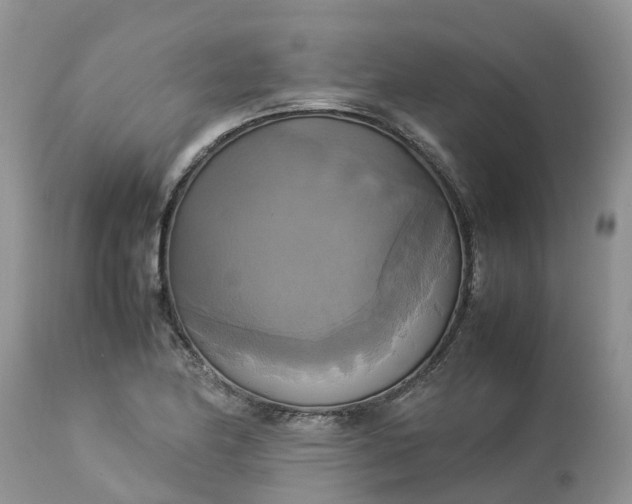 X0000113111174200909111108