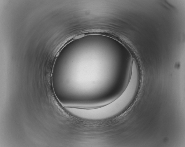 X0000113111177200909111108