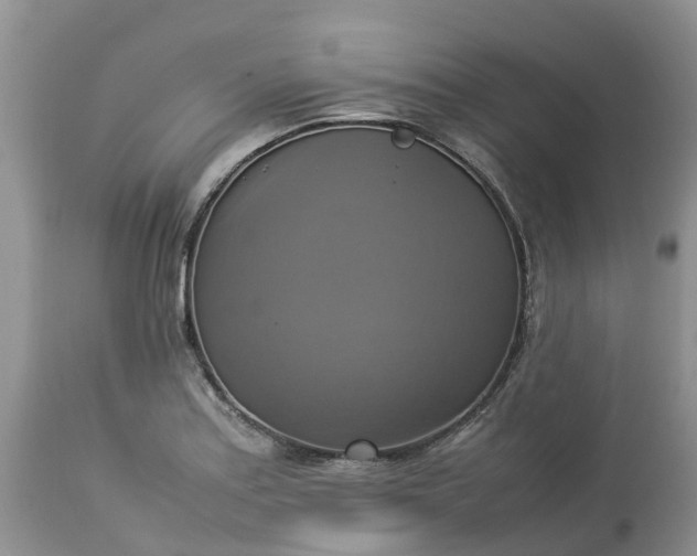 X0000113111179200909111108