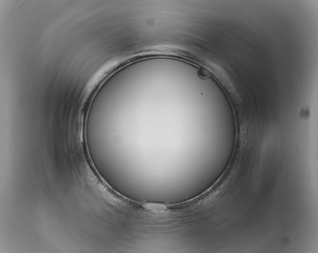 X0000113111180200909111108