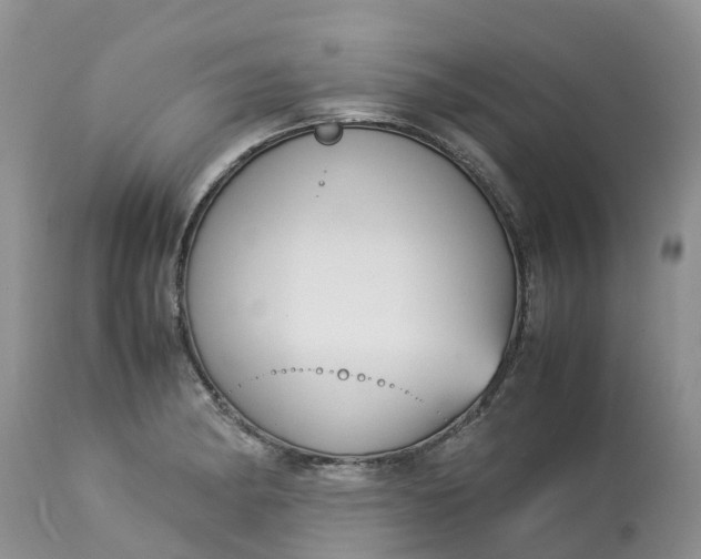 X0000113111182200909111108