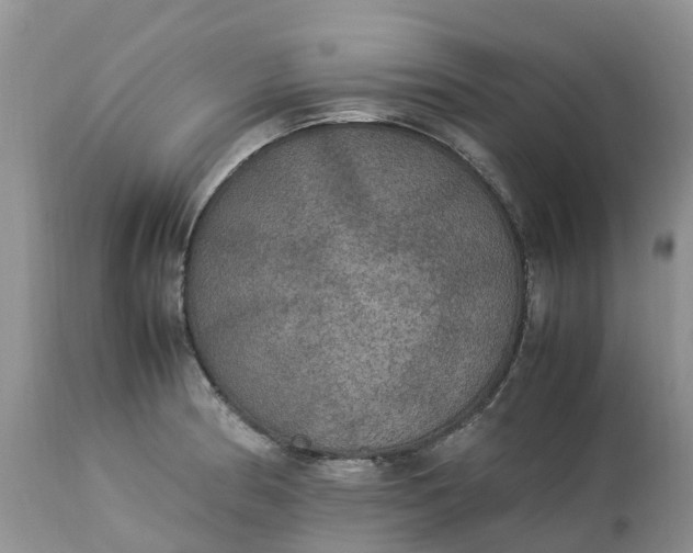 X0000113111186200909111108