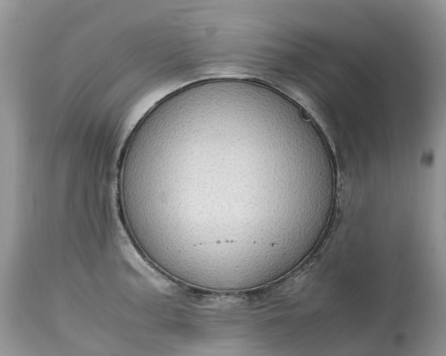 X0000113111187200909111108