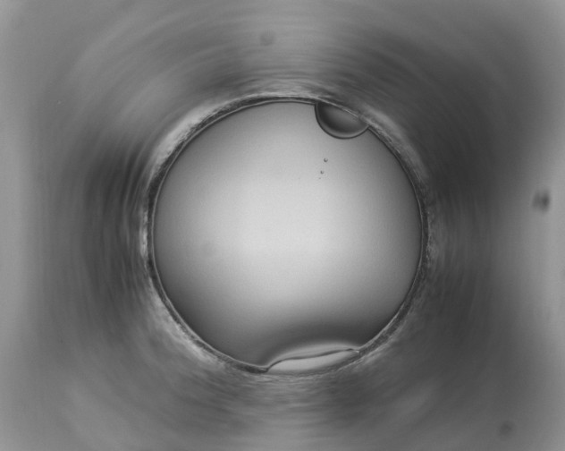 X0000113111188200909111108