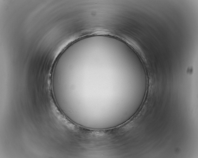 X0000113111190200909111108