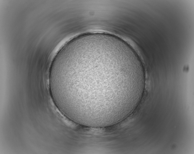 X0000113111191200909111108