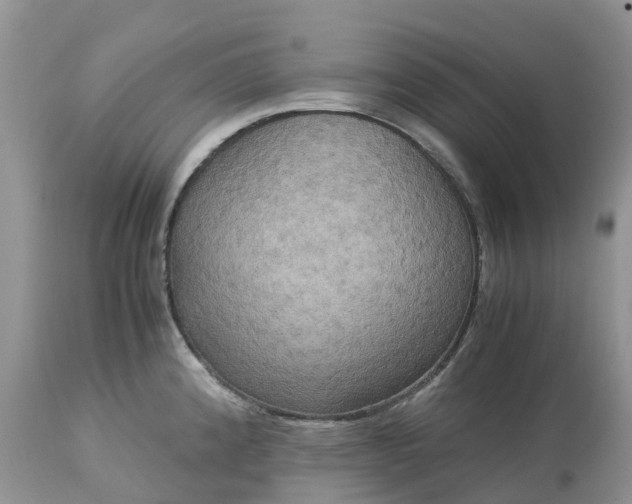 X0000113111192200909111108