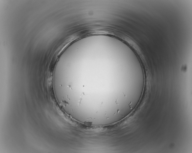 X0000113111193200909111108