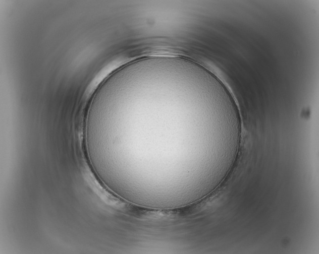 X0000113111195200909111108