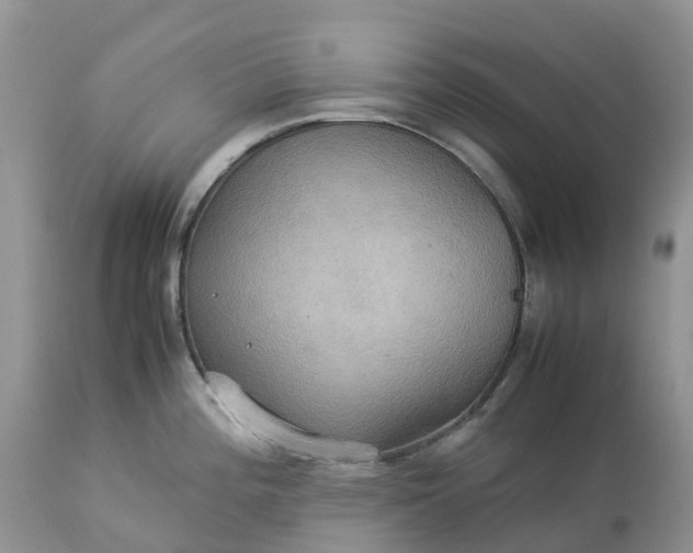 X0000113111196200909111108