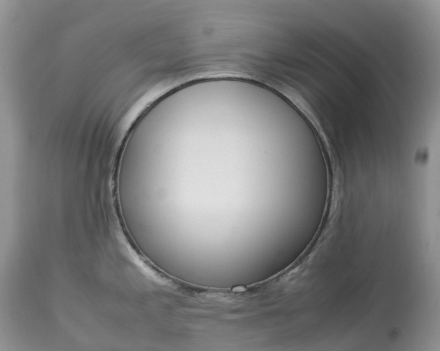 X0000113111197200909111108