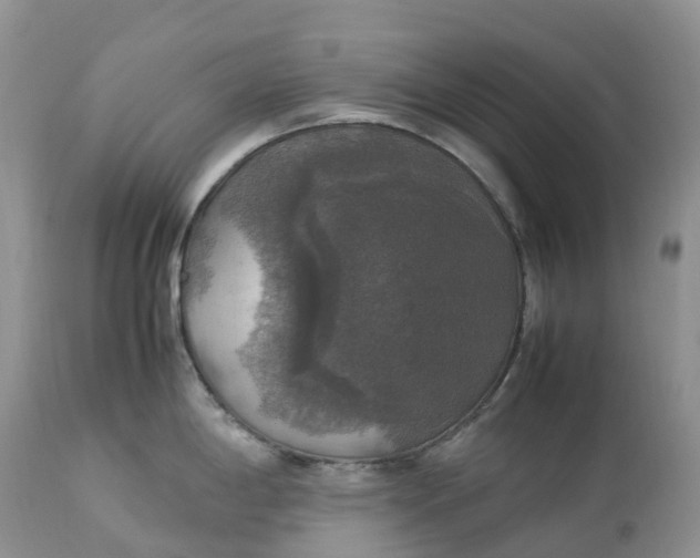 X0000113111198200909111108