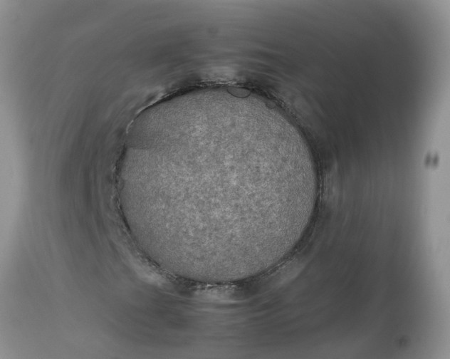 X0000113111201200909111107