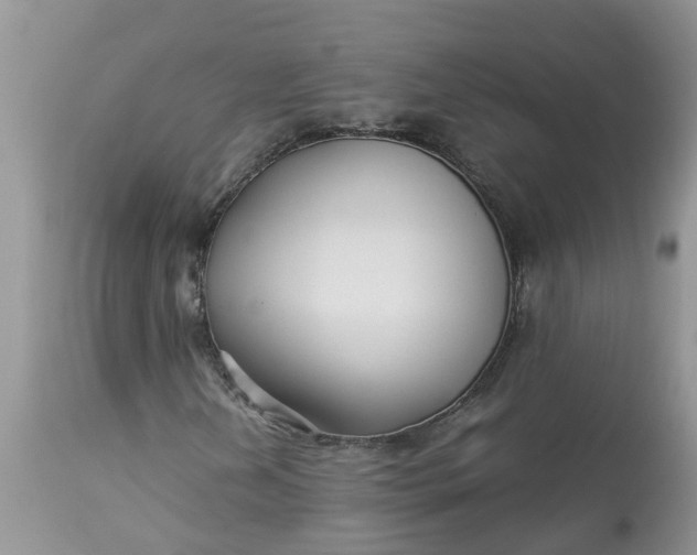 X0000113111202200909111107