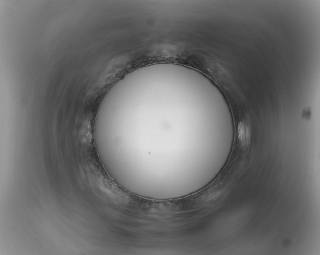 X0000113111203200909111107