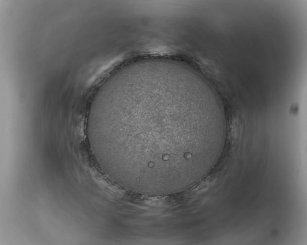 X0000113111205200909111107