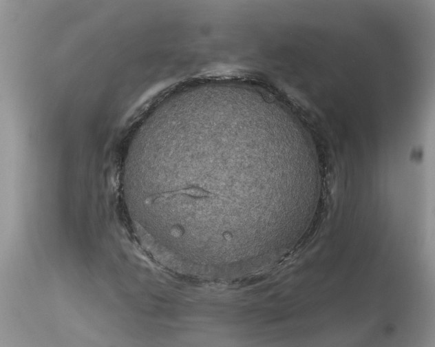X0000113111206200909111107
