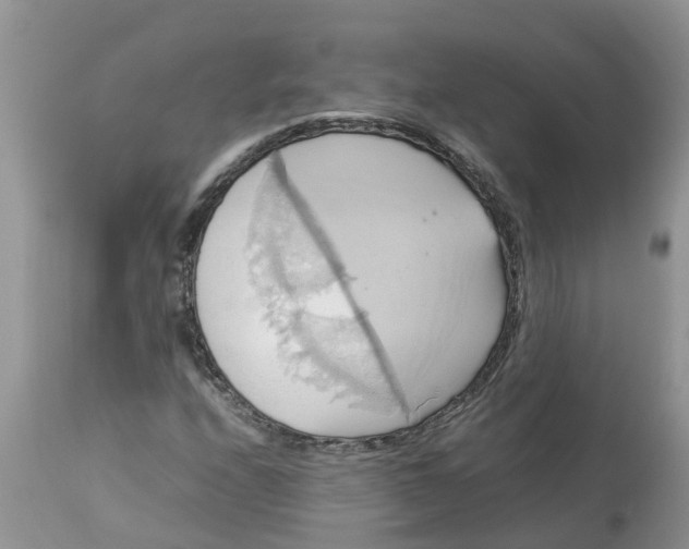 X0000113111208200909111107