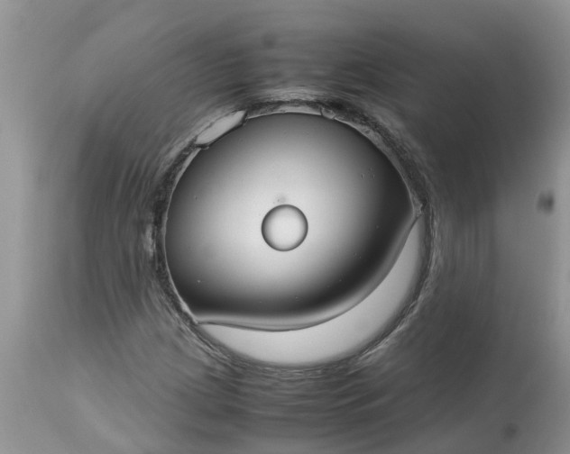 X0000113111209200909111107
