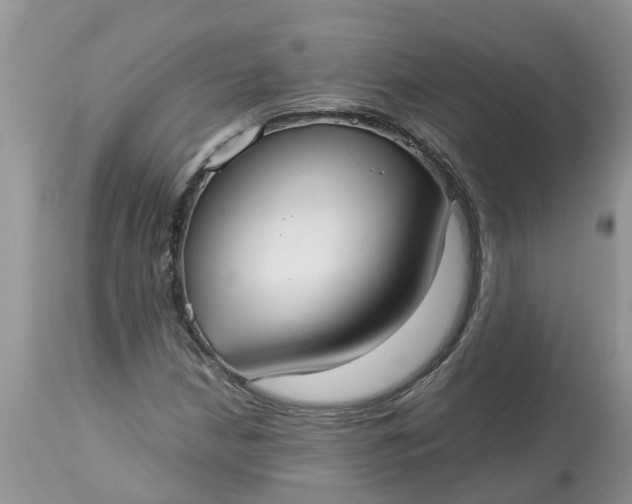 X0000113111210200909111107