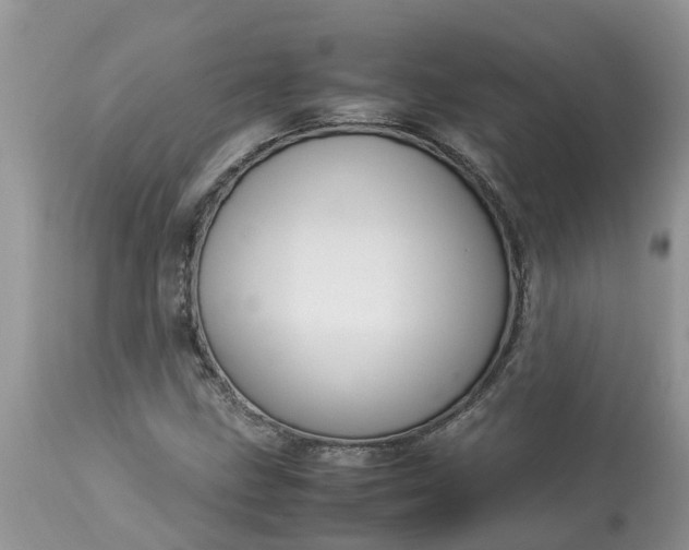 X0000113111211200909111107