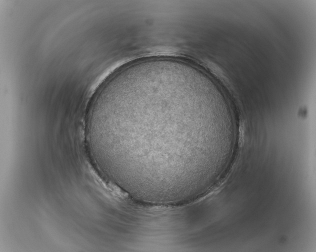 X0000113111212200909111107