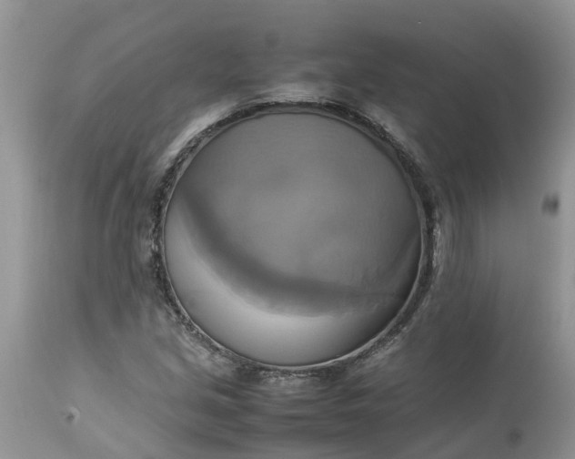 X0000113111213200909111107