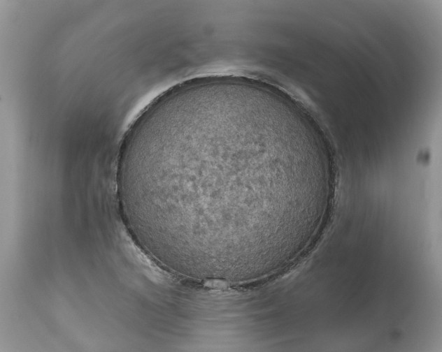 X0000113111216200909111107