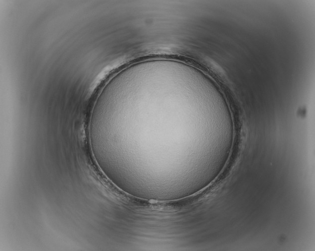 X0000113111218200909111107