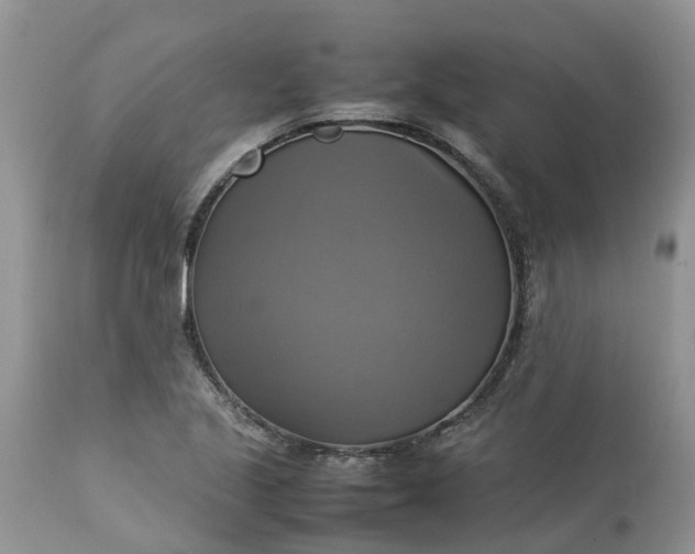 X0000113111221200909111107