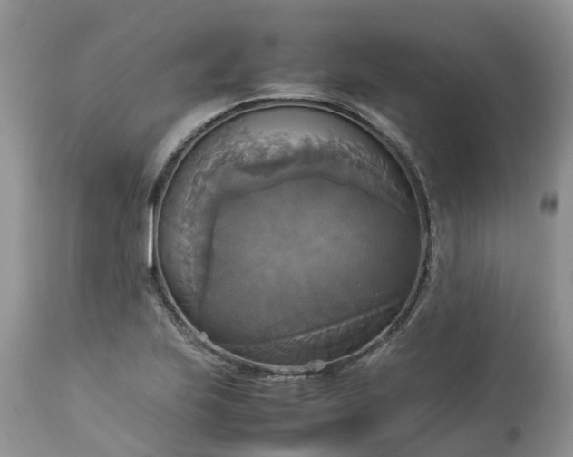 X0000113111223200909111107