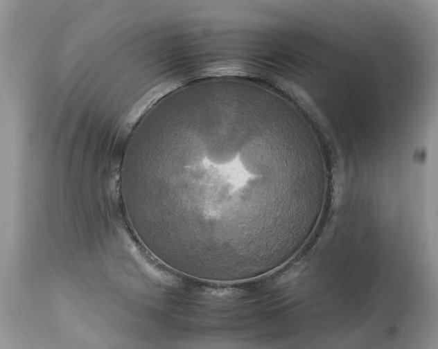 X0000113111225200909111108