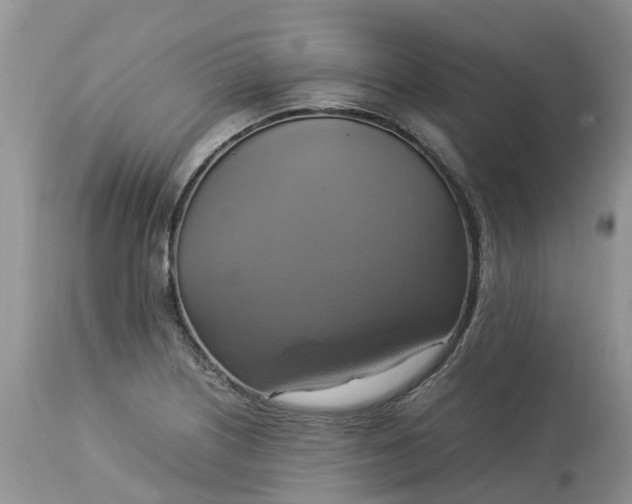 X0000113111226200909111108