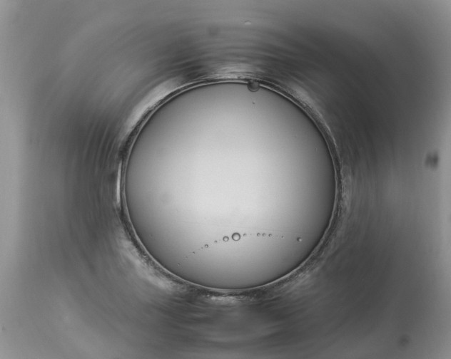 X0000113111227200909111108
