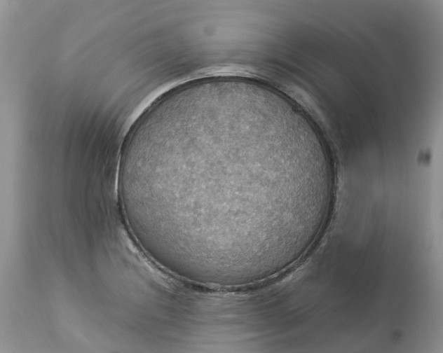 X0000113111228200909111108