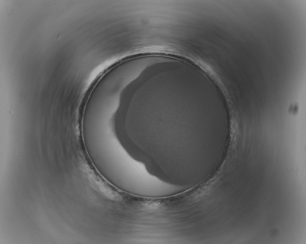 X0000113111230200909111108